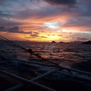 Meet your Posher, Jade